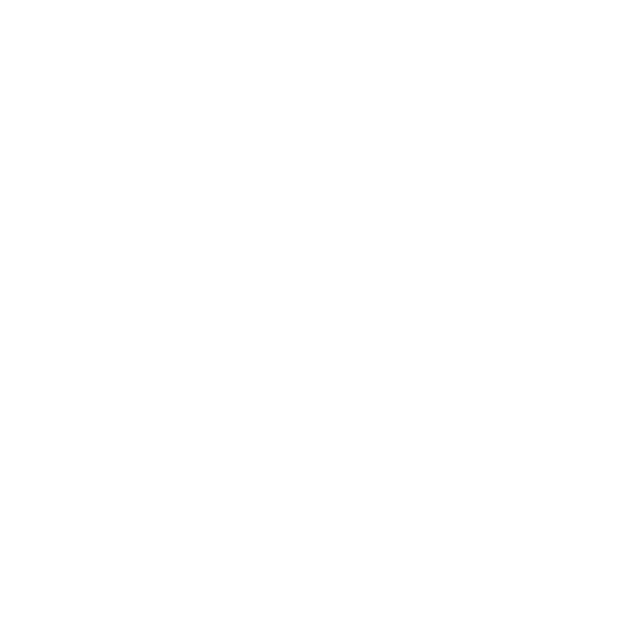 light logo